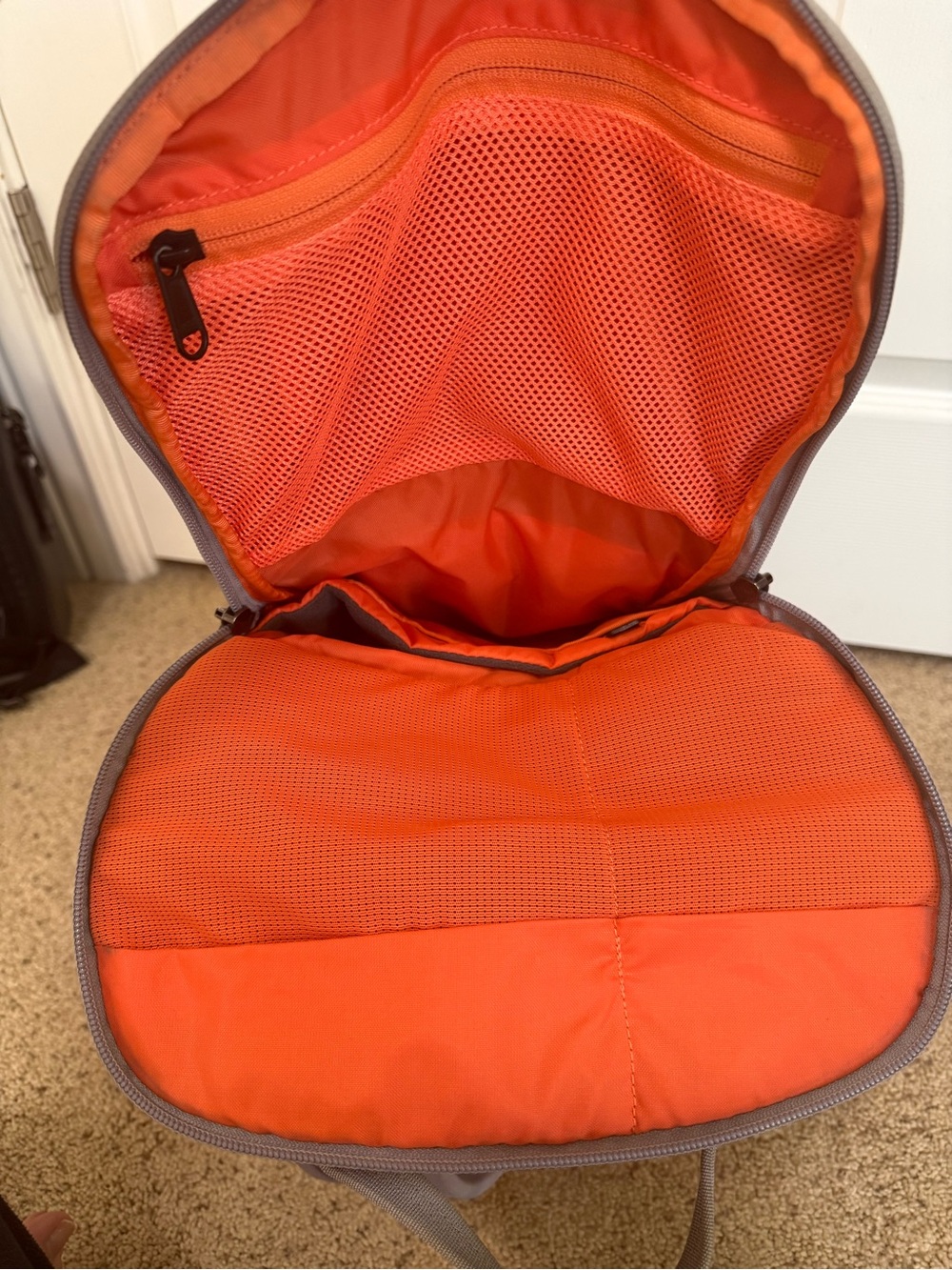 The North Face Grey Everyday Backpack - Flexvent - Picture 6 of 11